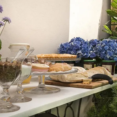 Il Giardino Di Ortensia Bed & Breakfast Bientina